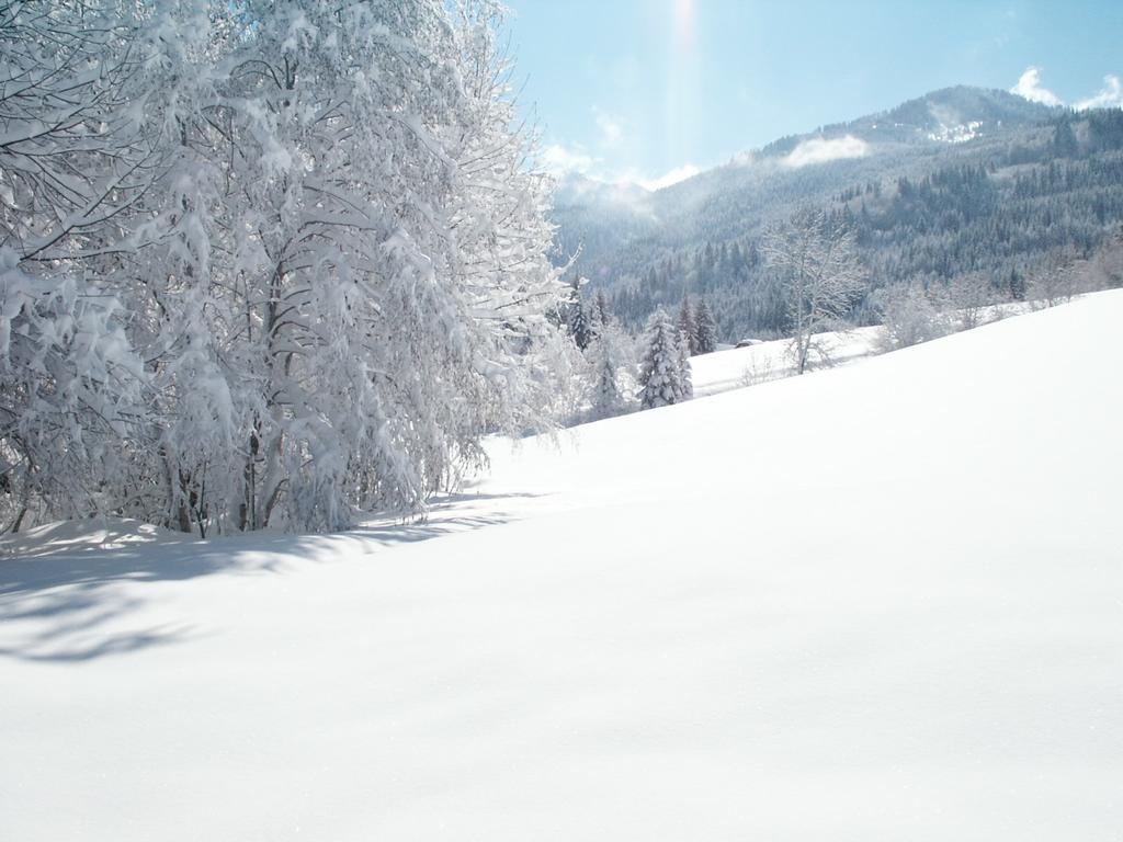 Chalets Zoehrer - Wohnen Am Wasser Weissensee Εξωτερικό φωτογραφία